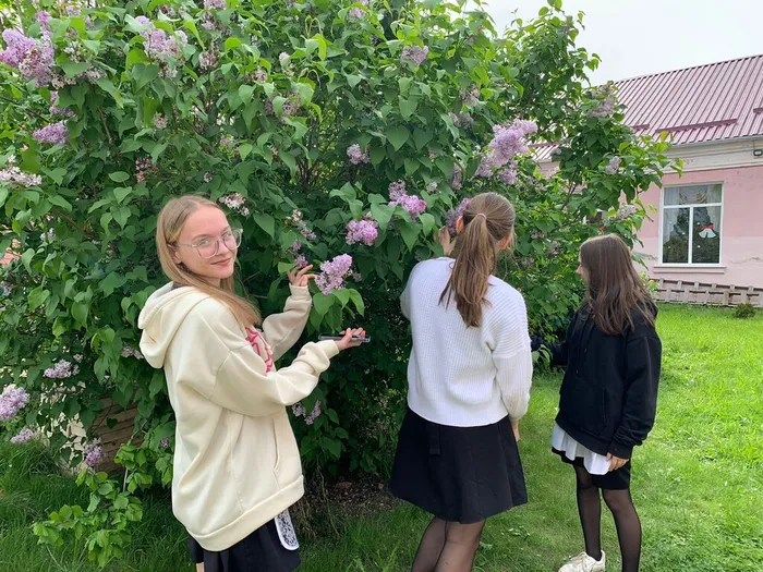 75907132-27fd-4148-b827-6c6314455f86