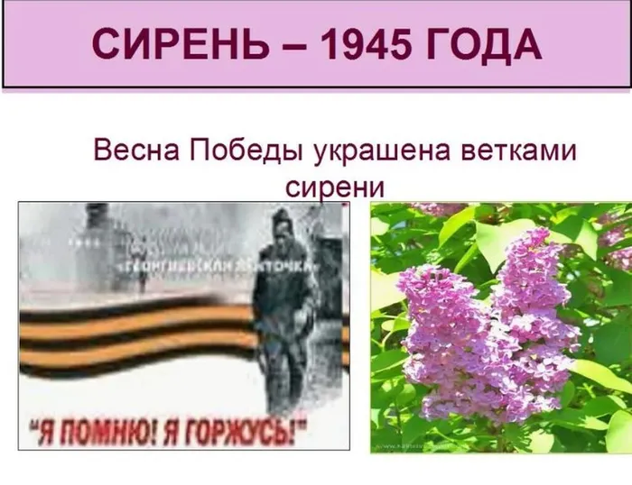 e3d58916-f59c-42ed-8fa2-a4b961da72fc